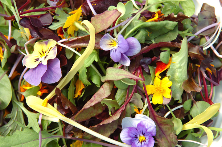 All About Edible Flowers, Tip