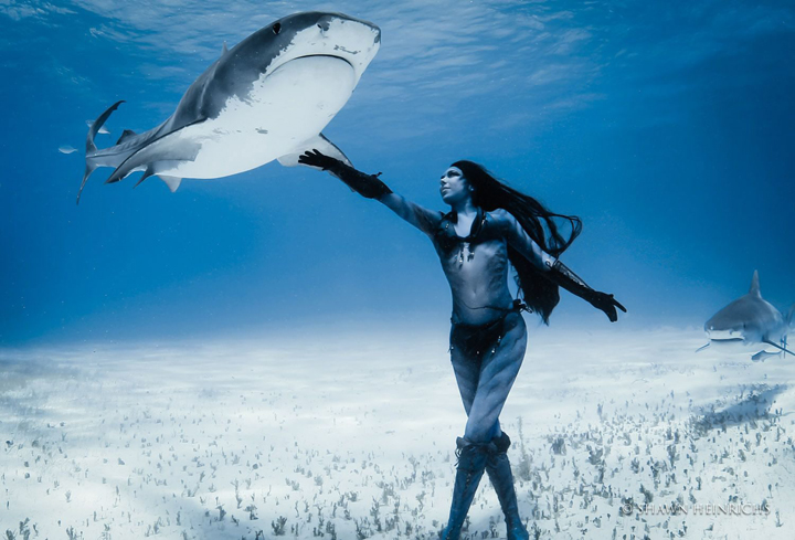 Mermaid' Hannah Fraser Swims With Humpback Whales (PICTURES