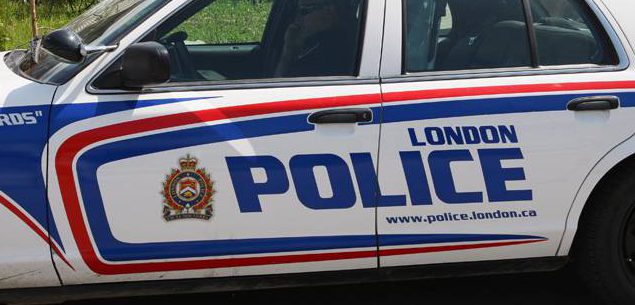 Police seek man and ‘pit bull’ after woman bitten on London, Ont., street - image
