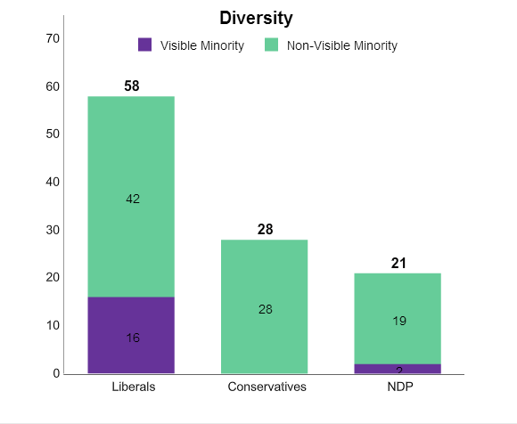 Diversity at record high at Queen’s Park - image
