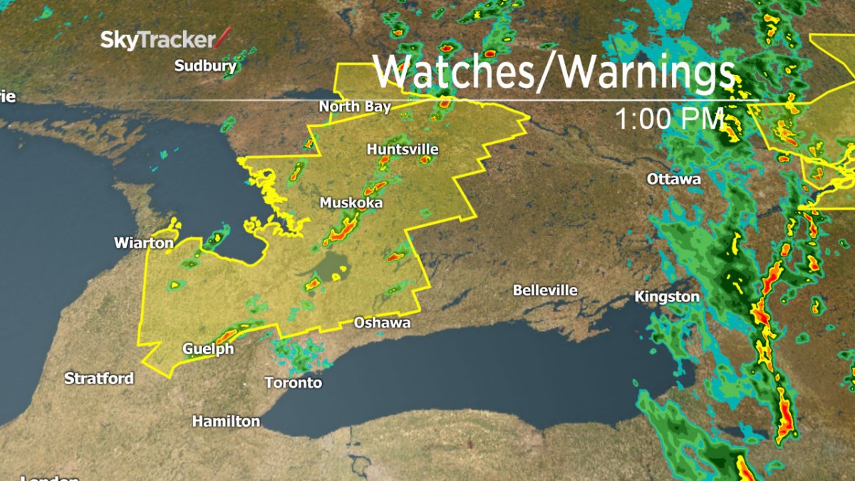 Severe thunderstorm watches have been issued across much of southern Ontario.