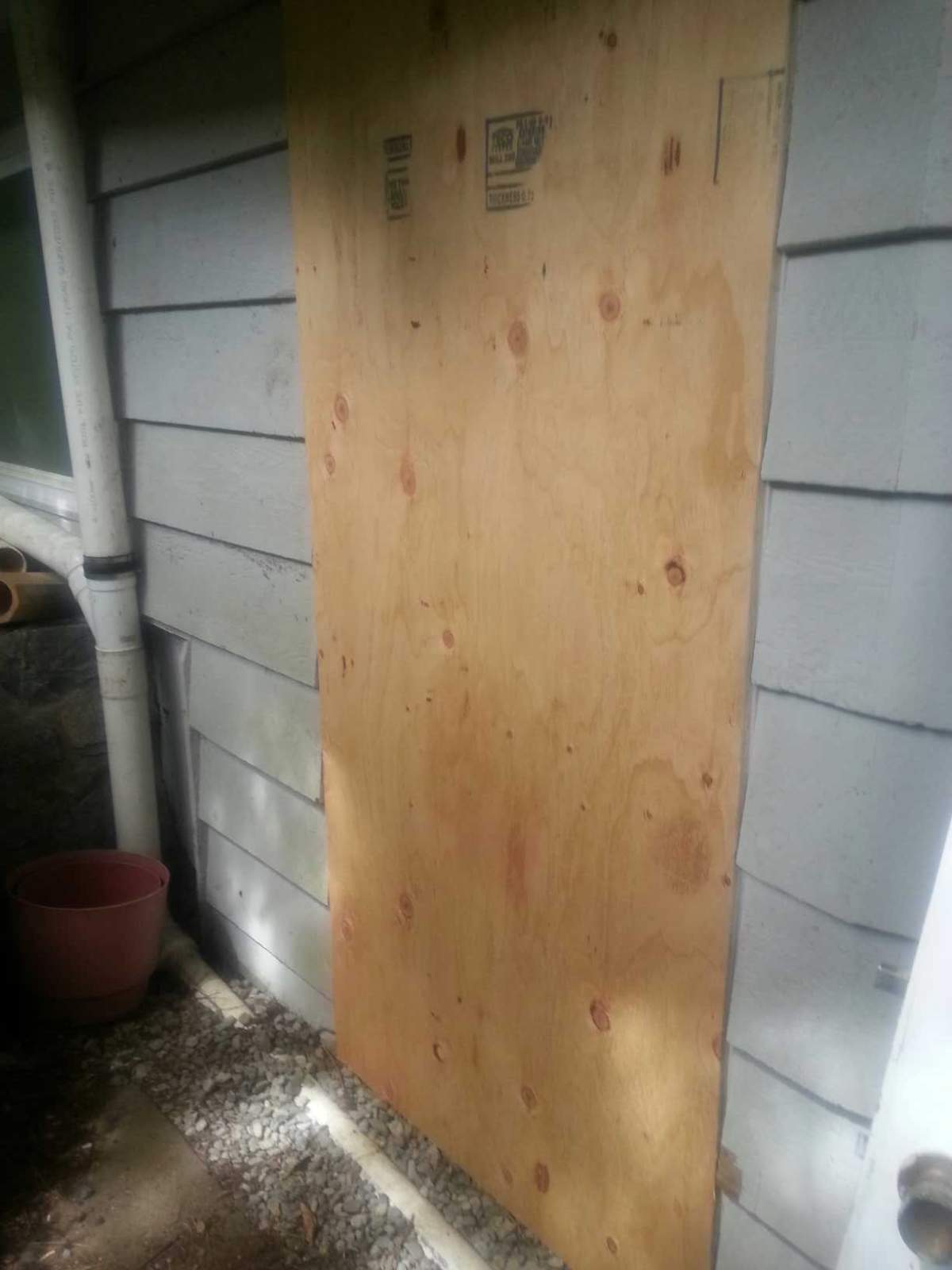 Young male bear shot and killed after breaking into outdoor freezer in West Vancouver - image