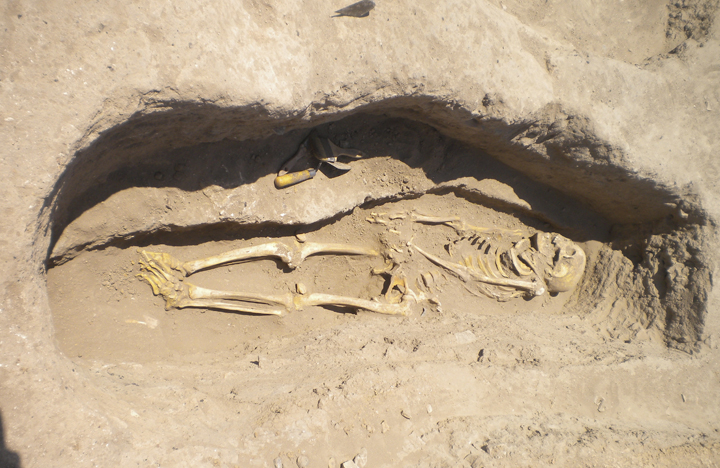 In this image made available from Oriental Institute of the University of Chicago, on Thursday June 19, 2014 shows a skeleton in a grave in northern Syria in 2010. 