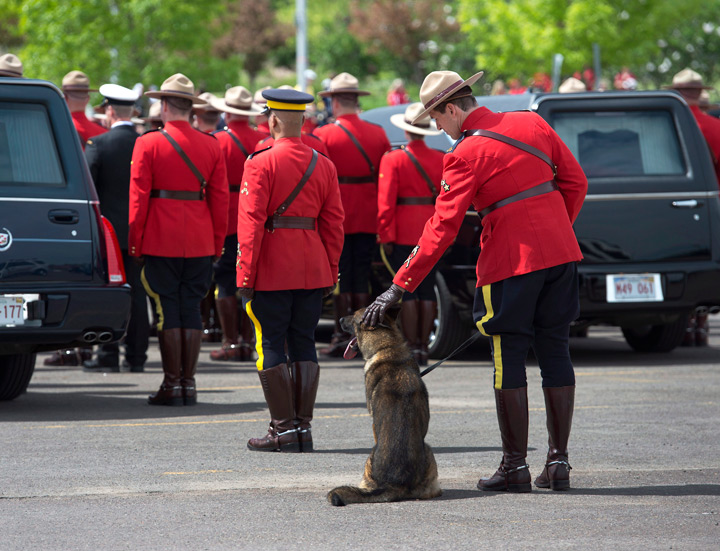 Const. David Ross's dog Danny