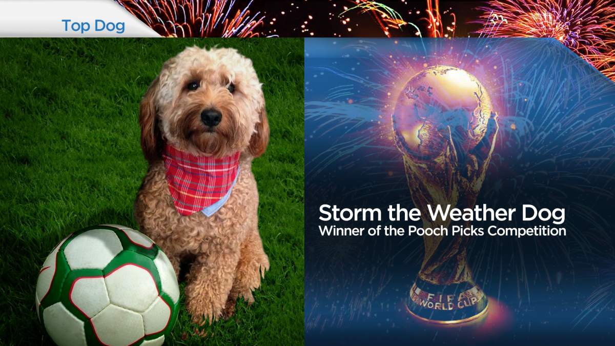 World Cup 2014: Storm and Jango’s Picks - image
