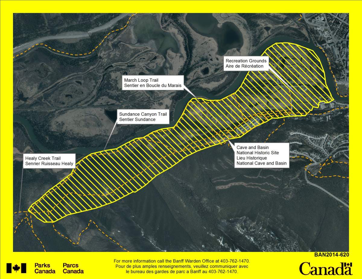 Hikers beware: Bear warning issued in Banff - image