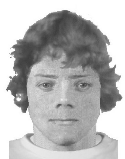 Electronic sketch of the suspect.