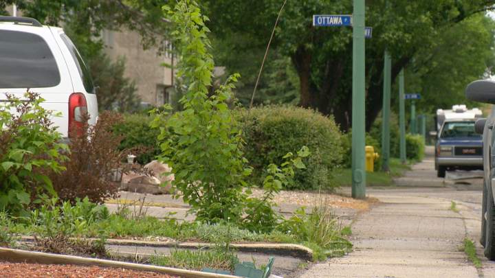 Police investigating alleged sexual assault making rounds on social ...