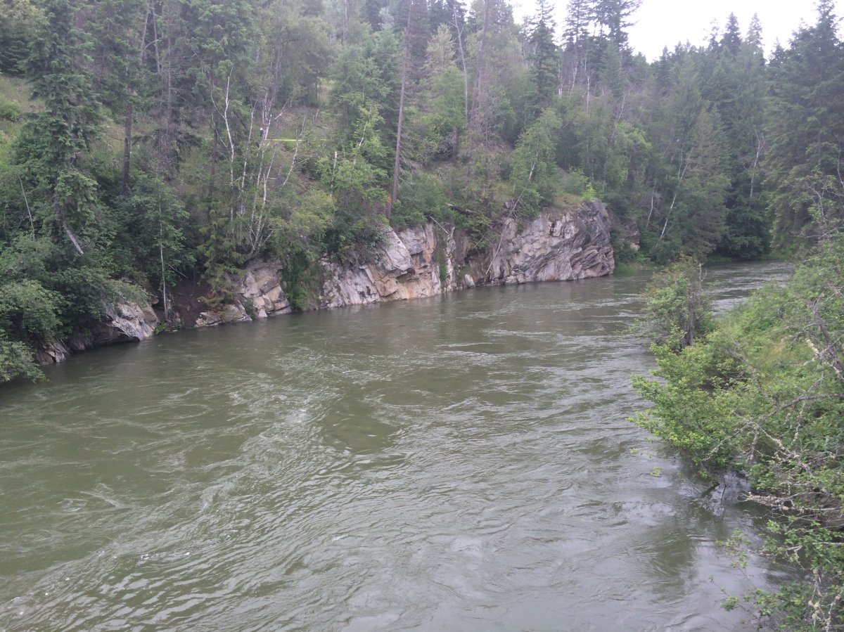 Vernon RCMP look into reports of car plunged into Shuswap River - image