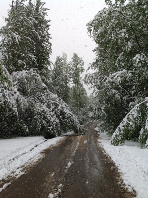 Snow hits communities in north-eastern B.C. - image