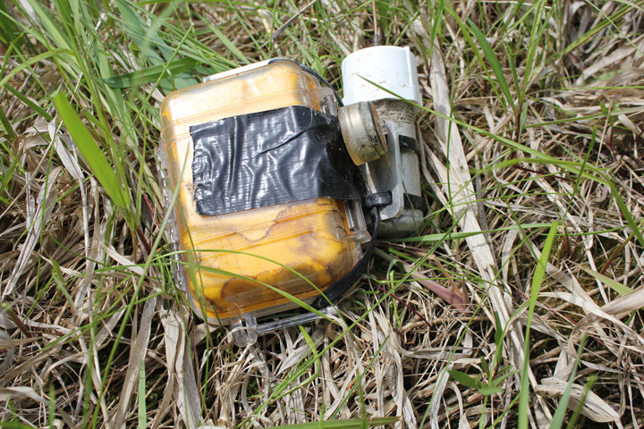 Saskatchewan Mounties recover tracking device, but pig remains are at large.