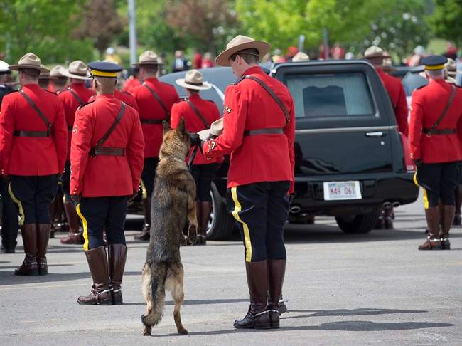 RCMP police dog Danny sniffs the Stetson of his partner, slain Const. David Ross, during the funeral procession for the three RCMP officers who were killed in the line of duty, at their regimental funeral at the Moncton Coliseum in Moncton, N.B. on Tuesday, June 10, 2014.