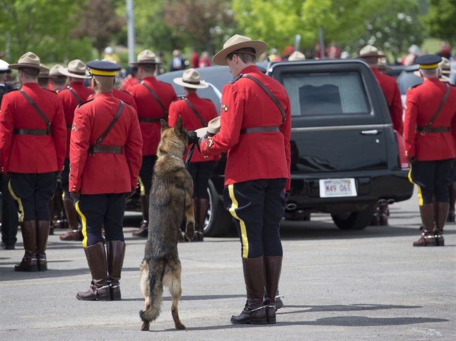 RCMP police dog Danny sniffs the Stetson of his partner, slain Const. David Ross, during the funeral procession for the three RCMP officers who were killed in the line of duty, at their regimental funeral at the Moncton Coliseum in Moncton, N.B. on Tuesday, June 10, 2014.