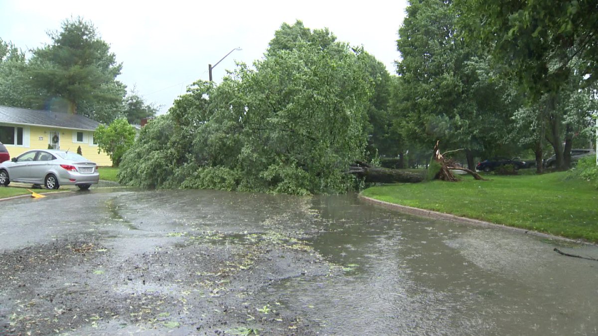 Arthur brought high winds and heavy rains which toppled trees, and downed power lines knocking out power to more than 250,000 homes and businesses at the height of Saturday’s storm.