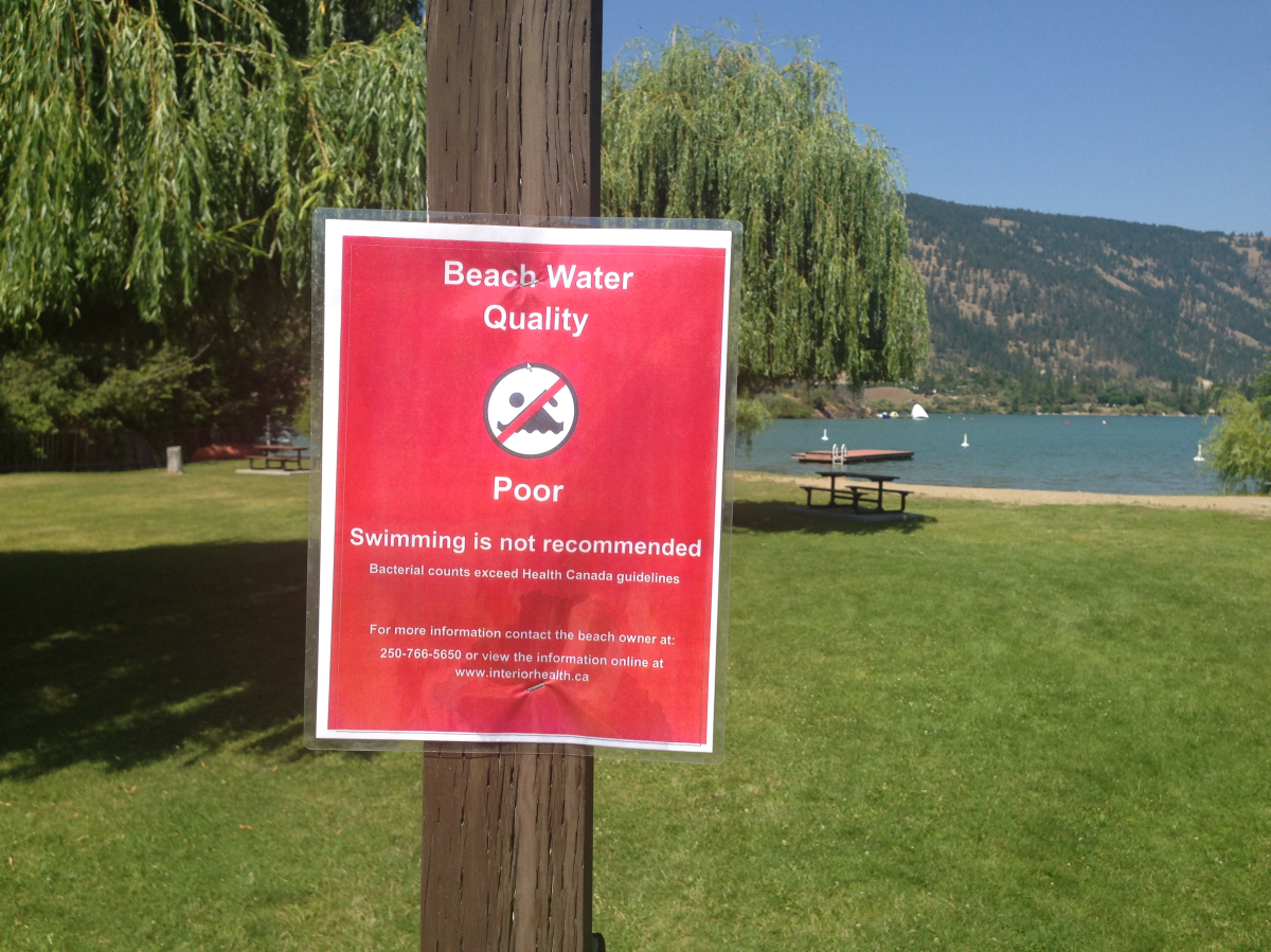 Swimming not recommended after high bacteria levels found in Kalamalka Lake - image