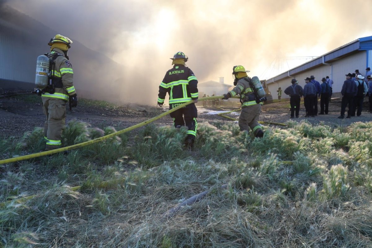 Hog barn fire in Bentley, Alberta; July 7 , 2014.
