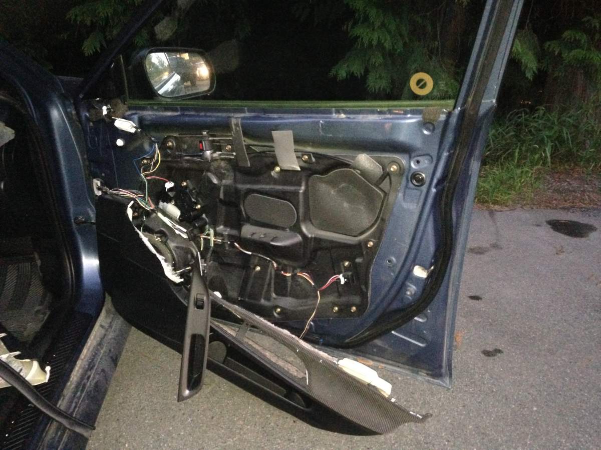 Bear who learned to break into cars euthanized after getting trapped in car - image