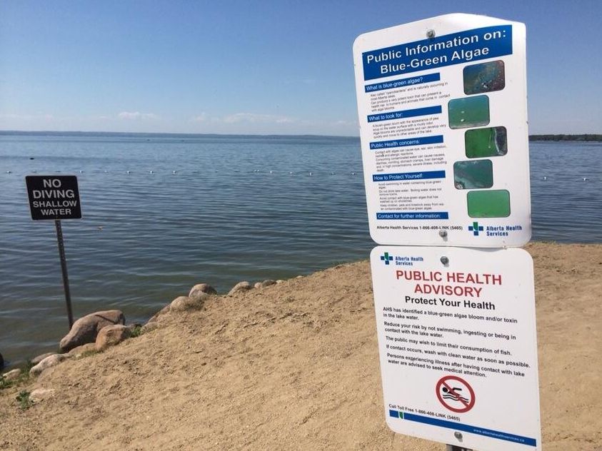 A blue-green algae advisory was in effect at Pigeon Lake July 2014.