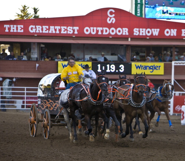What rodeo and rangeland rookies can expect at the Calgary Stampede - image