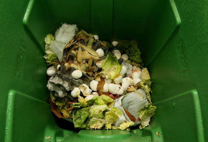 How to compost if you live in an apartment or condo