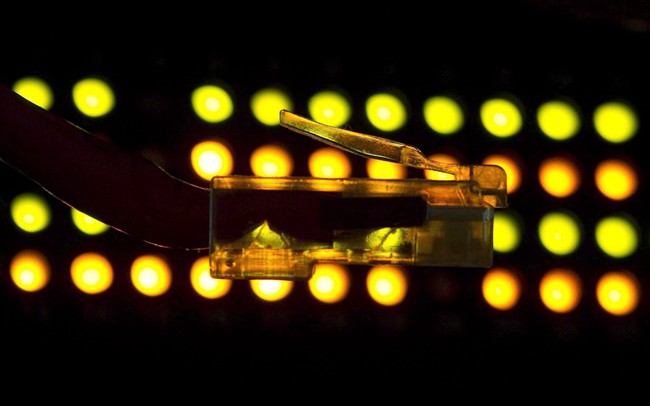 Lights on an internet switch illuminate a network cable in an office in Ottawa, February 10, 2011. 