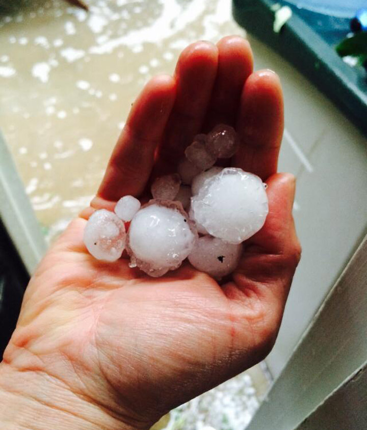 Cabins get clobbered by trees and waves as storm hits swollen Saskatchewan lake.