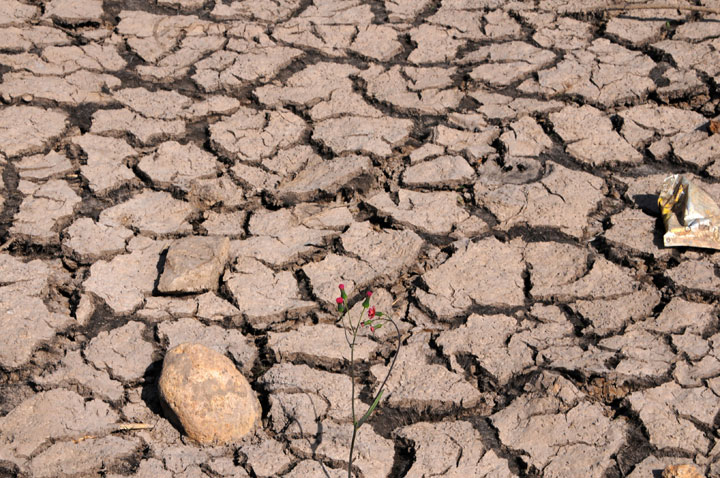 Drought conditions have plagued Jamaica with very little rain falling in months.