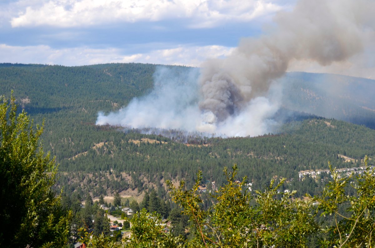 Photos: Smith Creek Fire - image