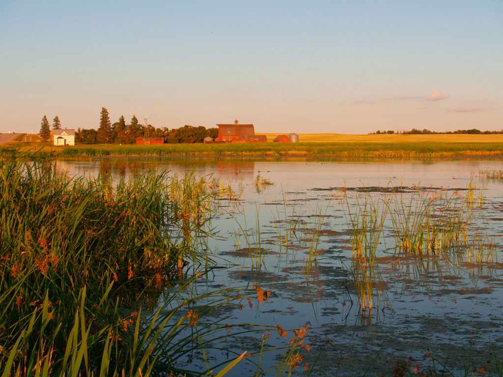 Wetlands prevent farmers from utilizing their land for agricultural purposes, but their loss has far-reaching consequences.