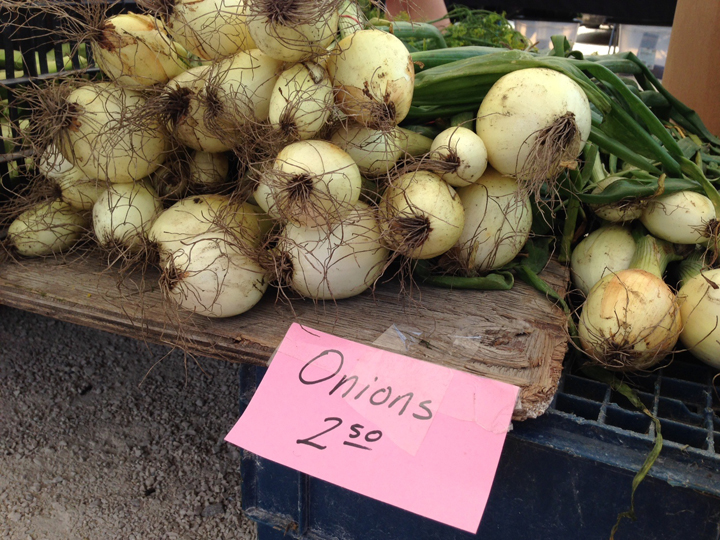Onions Manitoba St. Norbert Farmers Market