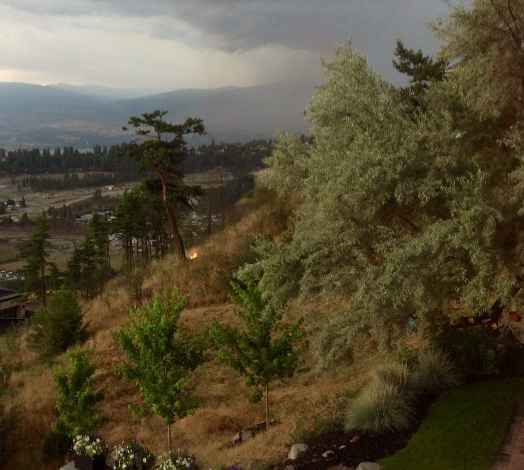 A small fire is seen under a West Kelowna pine tree off Shaleridge Place after a lightning strike Wednesday afternoon. 