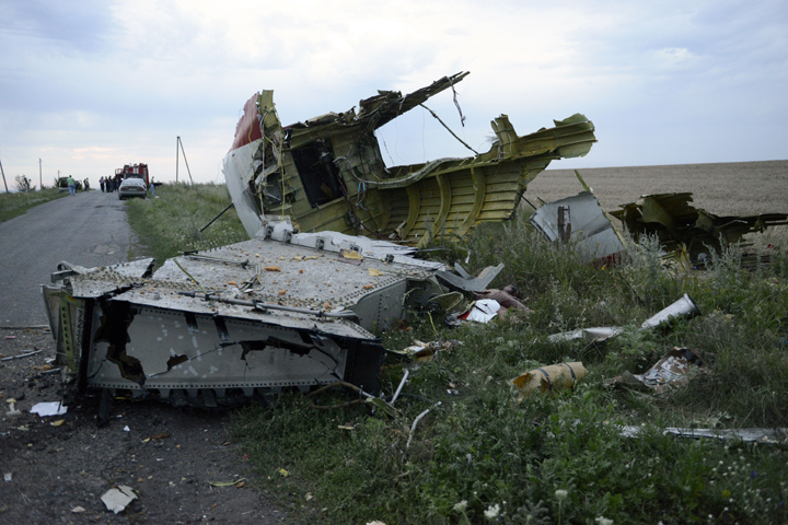 A picture taken on July 17, 2014, shows the wreckage of Flight MH17.