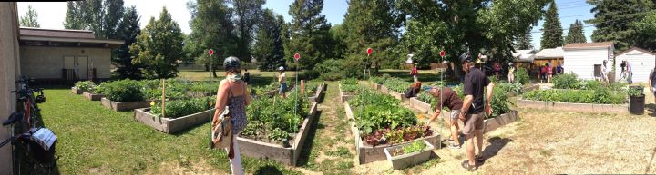 Community garden bike tour through west-central Edmonton Saturday, July 12, 2014.