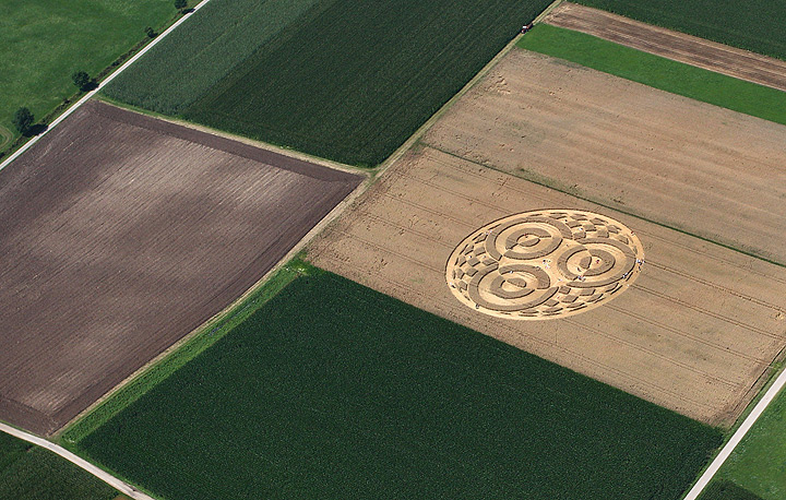 People walk through crop circles shaped into a cornfield near Raisting, southern Germany, on July 28, 2014.