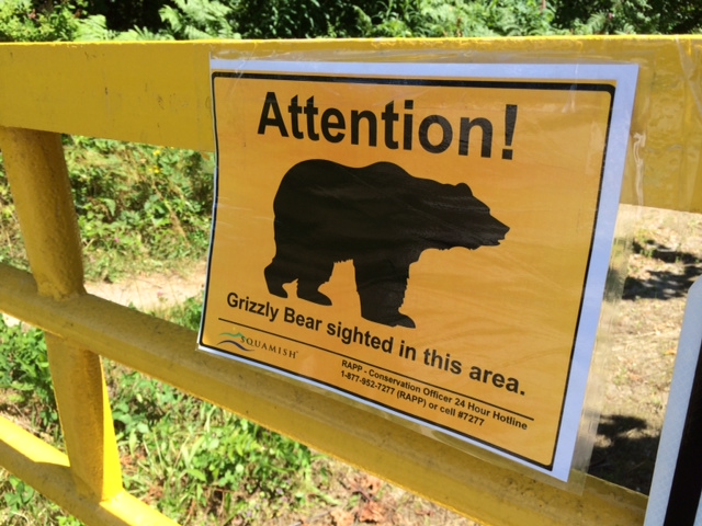 A sign warning of a grizzly bear seen in the Squamish area.