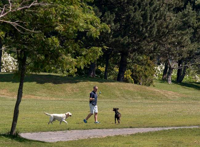 The City of Toronto is asking dog owners to keep their pets on a leash as crews investigate the cause of recent wildlife deaths.