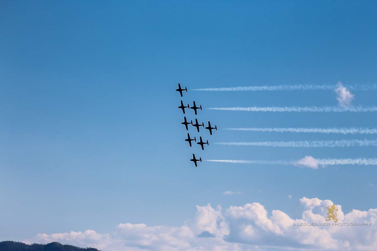 Snowbirds photos - image