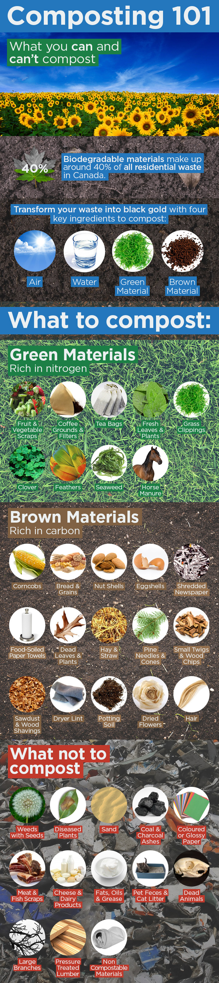 Infographic: Composting 101
