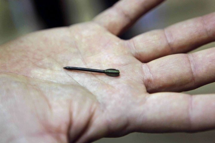 Palestinian human rights group claims Israel is using flechette shells in the Gaza Strip.