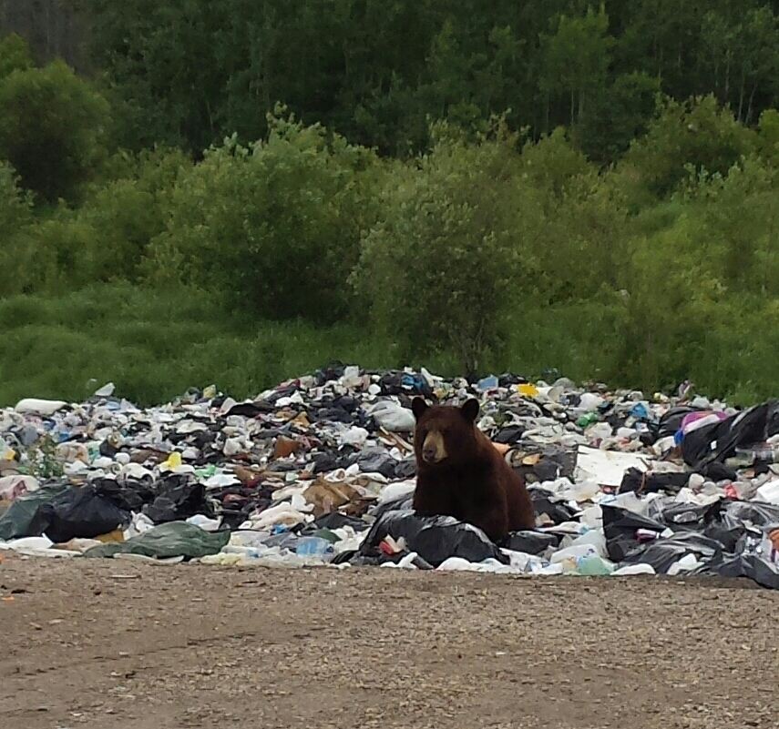 Your Manitoba