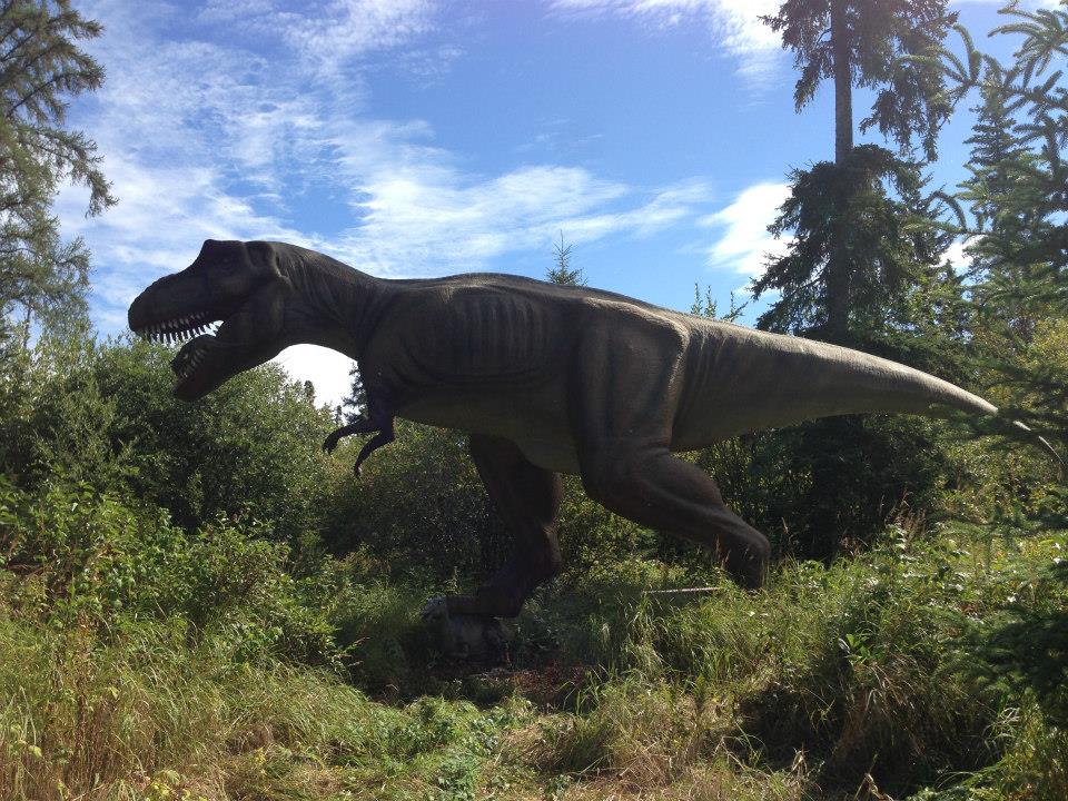 14 ideas for day trips around Edmonton - image