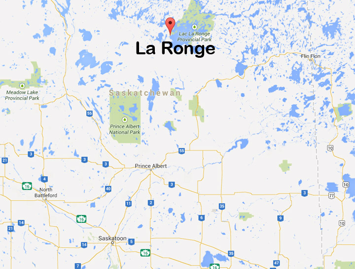 Man chased by bear in northern Saskatchewan thankful to a couple and their dogs.
