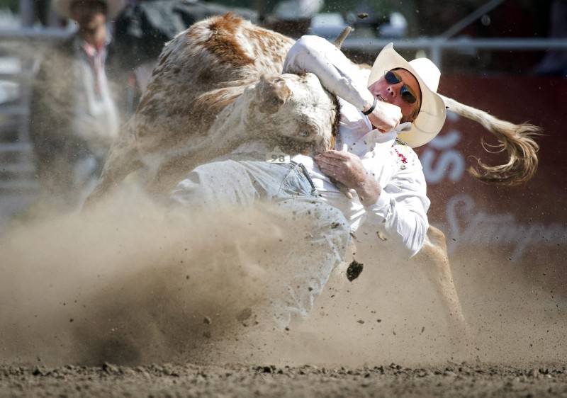Lee Graves, from Calgary, Alta., wins the steer wrestling rodeo event on the final day of the Calgary Stampede in Calgary, Sunday, July 18, 2010. The final day of Stampede rodeo is the richest single day in rodeo competition, giving out $1 million in prize money.THE CANADIAN PRESS/Jeff McIntosh.