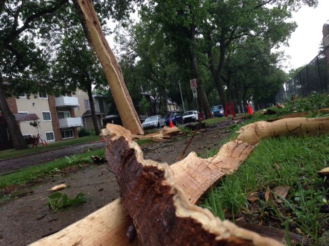 The aftermath of a lightning strike in Edmonton's Old Strathcona neighbourhood Thursday morning.