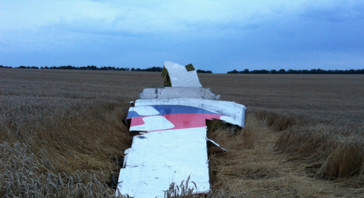 Flight MH17 crash