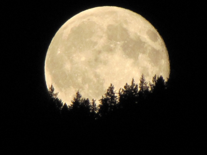 GALLERY: Glorious photos of Saturday night’s “supermoon” across BC ...