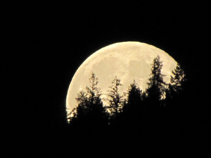 Super Moon shots taken from our deck in Genelle, BC (halfway between Trail and Castlegar) on their 45th wedding anniversary by Linda and Wayne Zino.