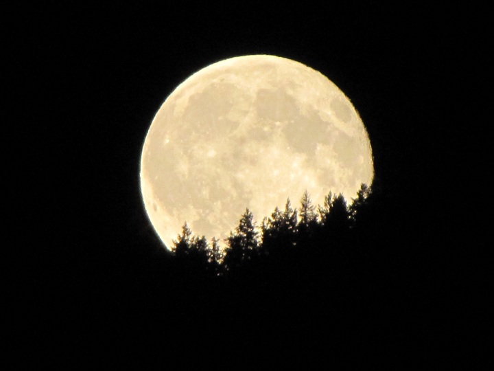 GALLERY: Glorious photos of Saturday night’s “supermoon” across BC ...