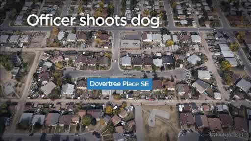 An investigation is underway after a Calgary Police officer shot and killed a dog. 