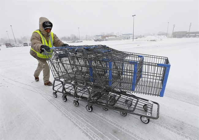FILE - Edmonton police said in each instance, the suspect reportedly waits until the shopper is distracted or away from their shopping cart or vehicle and then removes the purse from the grocery cart or the passenger seat.
